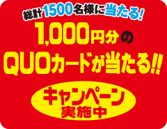 セコイヤチョコレートを買って1 000円分のquoカードが当たる プレゼントキャンペーン